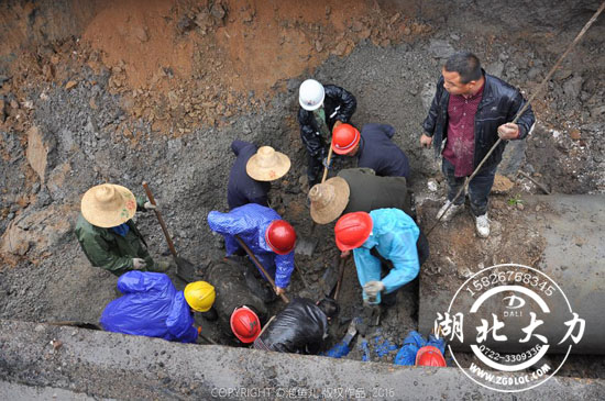 S(zhn)ʿͽ֠I(yng)ȱˆT ٝ硱